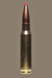 Close up studio shot 308 bullet cartridge