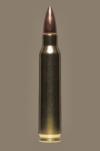 Close up studio shot 223 rifle bullet cartridge