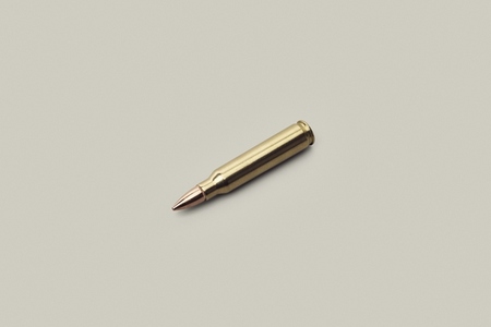 Studio shot 223 bullet cartridge