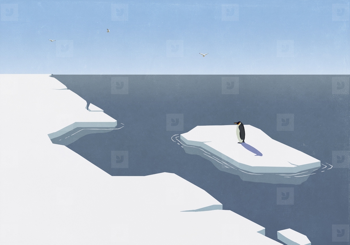 Lone penguin standing on ice floating away from shore
