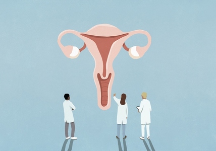Doctors examining and discussing female reproductive system