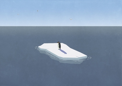 Lone penguin floating on ice on blue ocean Lone penguin floating on ice on blue ocean