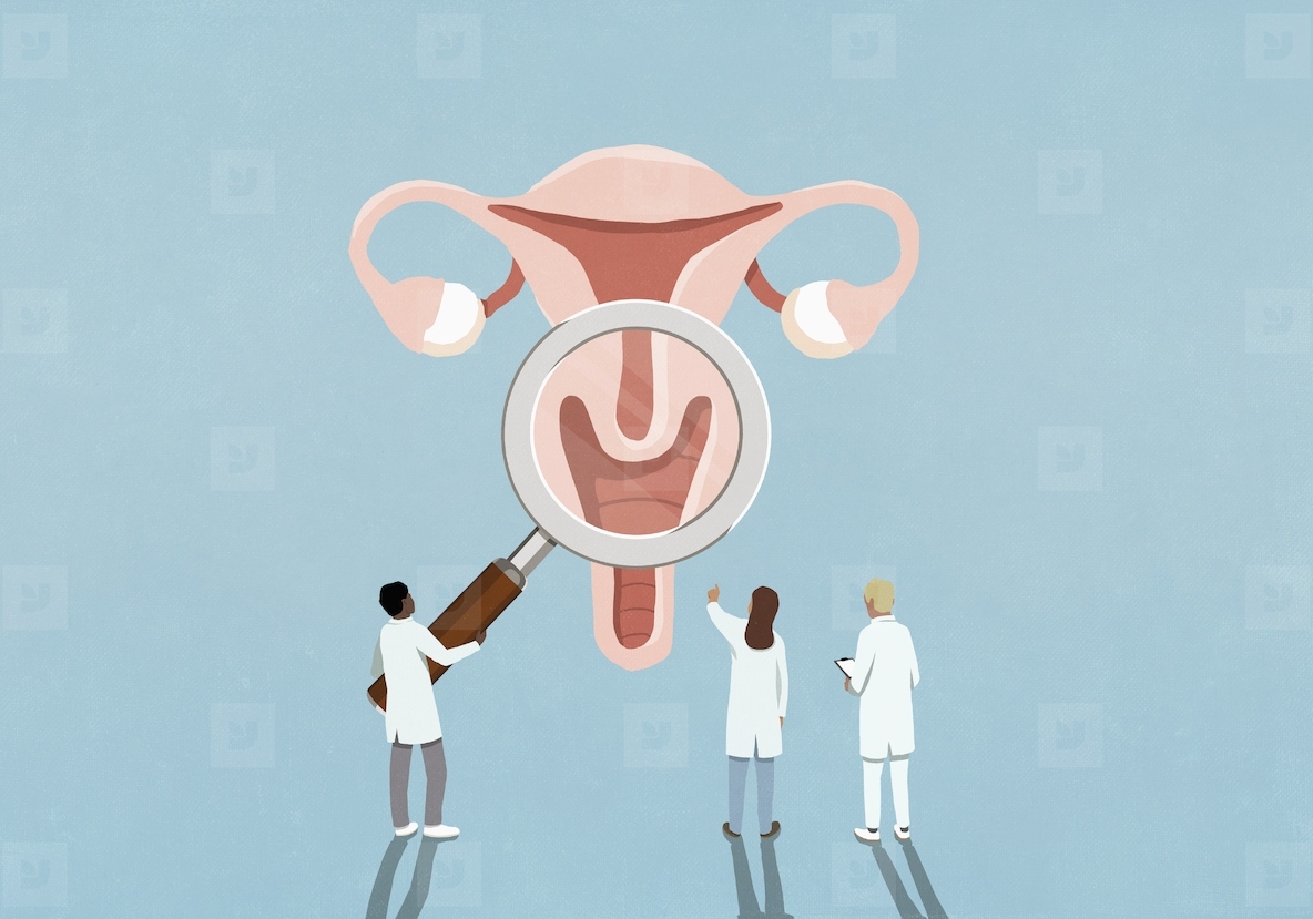 Doctors with magnifying glass examining female reproductive system