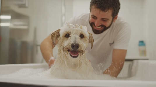 Happy dog enjoying bath with smiling man washing it in bright bathroom