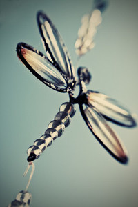 ornamental dragonfly