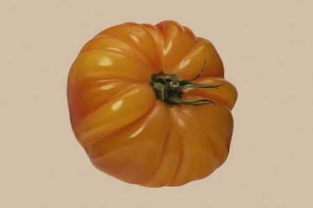 Close up shot of heirloom giant Belgium yellow beef tomato against beige background Close up shot of heirloom giant Belgium yellow beef tomato against beige background