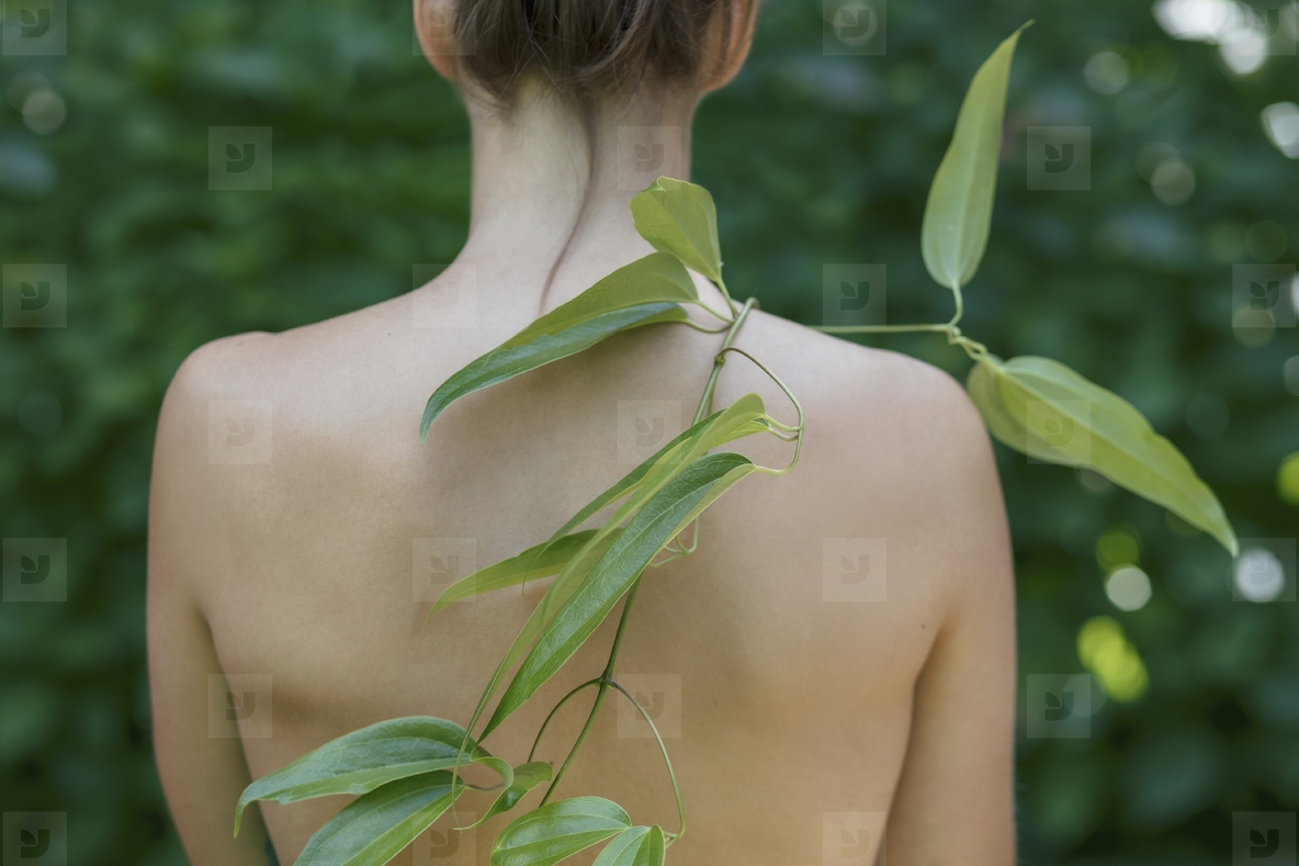 Branch with long green leaves draped over bare back of young woman