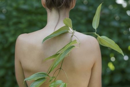 Branch with long green leaves draped over bare back of young woman