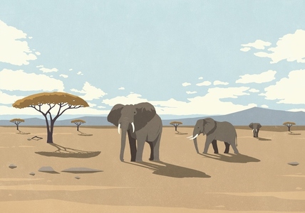 Elephants in the wild walking in sunny desert landscape Elephants in the wild walking in sunny desert landscape
