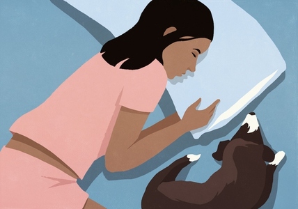 View from above of tired woman in pajamas sleeping in bed with dog at night