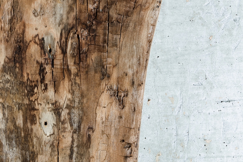Close-up of weathered wood texture next to a rough concrete wall. Natural wabi-sabi style composition emphasizing raw materials, imperfection, and organic detail