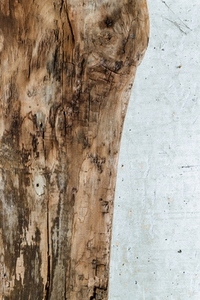Close up of weathered wood texture next to a rough concrete wall  Natural wabi sabi style composition emphasizing raw materials  imperfection  and organic detail