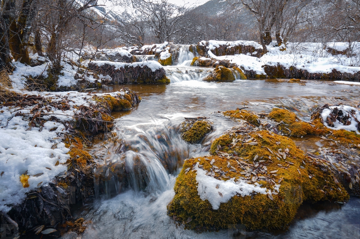 Flowing stream winter landscape nature photography snowy