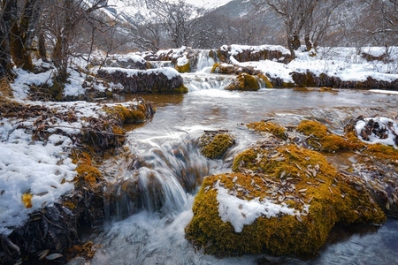 Flowing stream winter landscape nature photography snowy