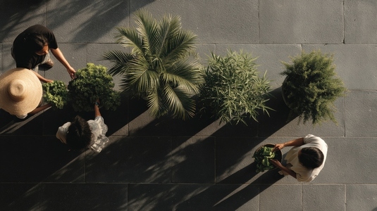 Rooftop garden birdseye people plant green outdoor summer urban relaxing sunlight Rooftop garden