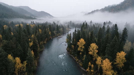 Aerial river autumn forest misty mountain tranquil landscape serene nature