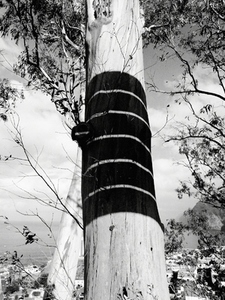 City Range 45 City Range 45