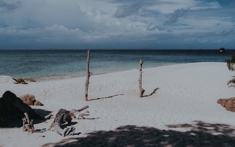 Beach Scene Beach Scene