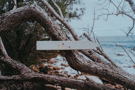 Sign on Beach Trail Sign on Beach Trail