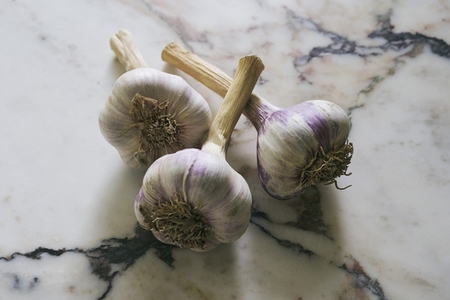 Still life of three purple garlic bulbs on marble surface