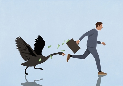 Black swan chasing businessman running with money briefcase
