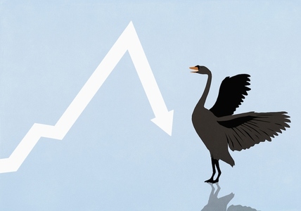 Chart arrow dropping deeply in front of black swan with spread wings