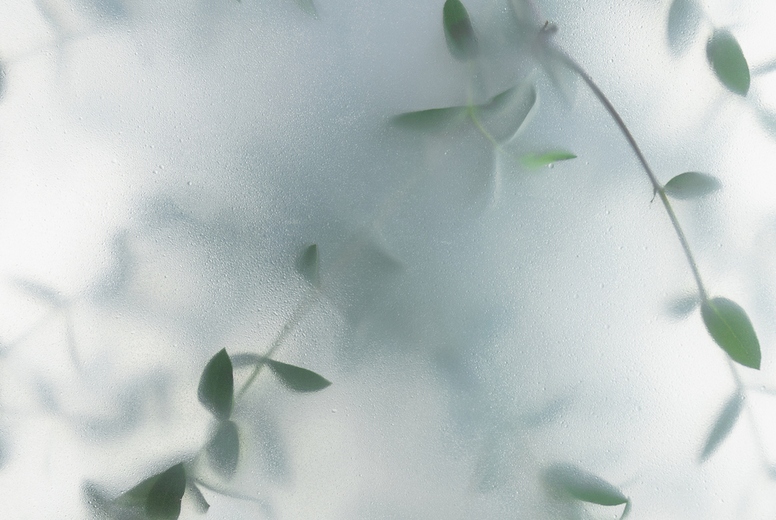 Soft green leaves behind frosted glass with natural light, minimal botanical background and calm organic mood.