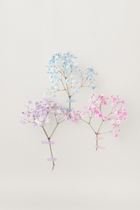 Delicate pastel flowers from floral series in blue pink and lilac taped to a light wall minimal floral composition Delicate pastel flowers from floral series in blue pink and lilac taped to a light wall minimal floral composition