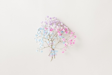 Delicate pastel flowers from floral series in blue pink and lilac taped to a light wall minimal floral composition Delicate pastel flowers from floral series in blue pink and lilac taped to a light wall minimal floral composition