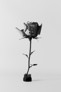 Minimalist black and white photo of a dried rose in a kenzan stand on a light background