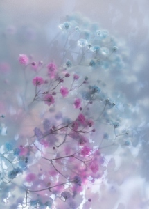 Soft pastel flowers in dreamy blur with gentle light romantic mood airy texture and delicate floral background Soft pastel flowers in dreamy blur with gentle light romantic mood airy texture and delicate floral background