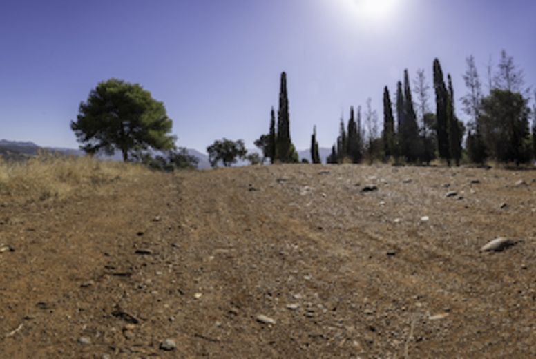A Beautiful Scenic Panoramic View of a Dry Landscape Featuring Trees Against a Blue Sky