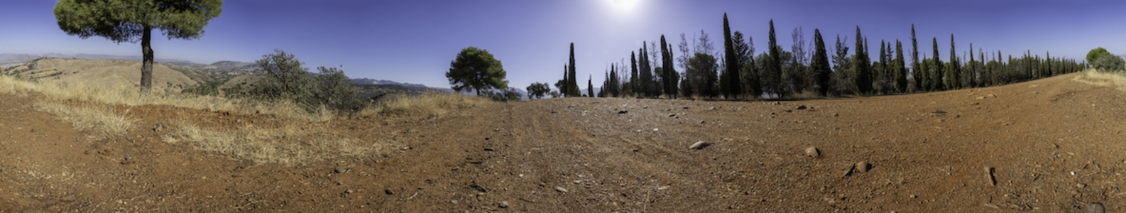 A Beautiful Scenic Panoramic View of a Dry Landscape Featuring Trees Against a Blue Sky