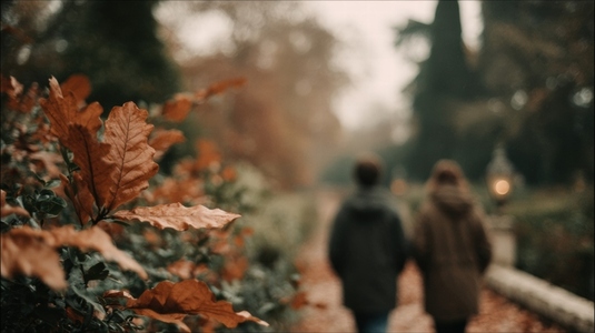 Couples walking in park surrounded by autumn leaves creating romantic atmosphere Couples walking in park surrounded by autumn leaves creating romantic atmosphere