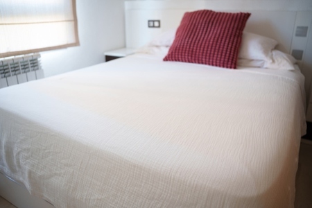 Calm cozy space  Bright room with relaxing furniture  Comfortable and peaceful bedroom filled with sunlight  Tranquil sunny bedroom equipped with soothing furniture