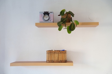 Stylish shelving showcasing classic cameras and vibrant botanical decorations  Elegant arrangement with vintage photographic gear complemented by lush green plant