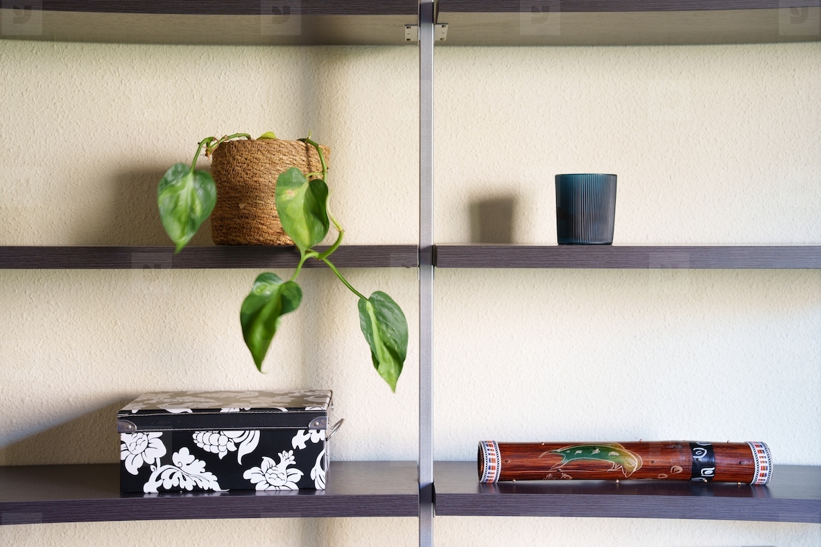 Simple stylish display Chic decor with plants Elegant shelf arrangement with cozy vibe Balanced decorative setup on neutral wall shelves emphasizing tranquility