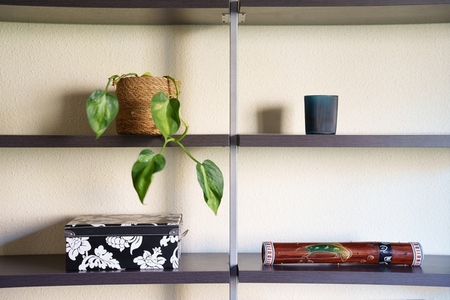 Simple stylish display  Chic decor with plants  Elegant shelf arrangement with cozy vibe  Balanced decorative setup on neutral wall shelves emphasizing tranquility