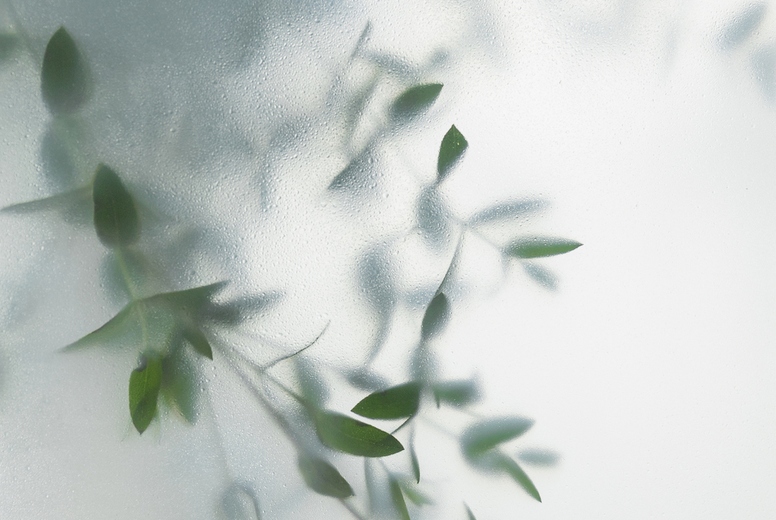 Soft green leaves behind frosted glass with natural light, minimal botanical background and calm organic mood
