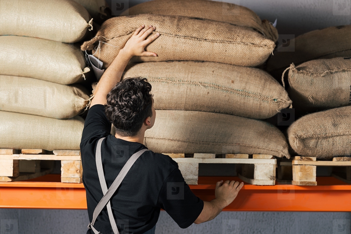 Rear view of a warehouse worker choosing a bag Unrecognizable barista at warehouse looking for a proper bag with beans on the shelf