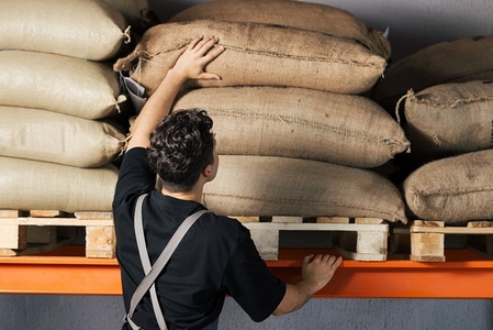 Rear view of a warehouse worker choosing a bag  Unrecognizable barista at warehouse looking for a proper bag with beans on the shelf