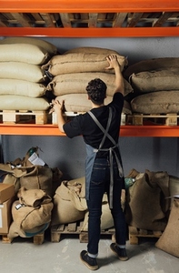 Full length of a male warehouse worker choosing bags at shelves  Rear view of a barista at a warehouse
