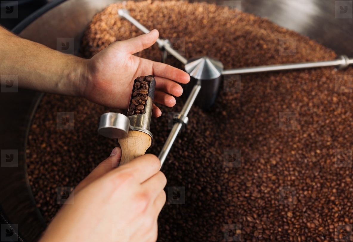 Close up of unrecognizable barista checks the quality of roasted coffee