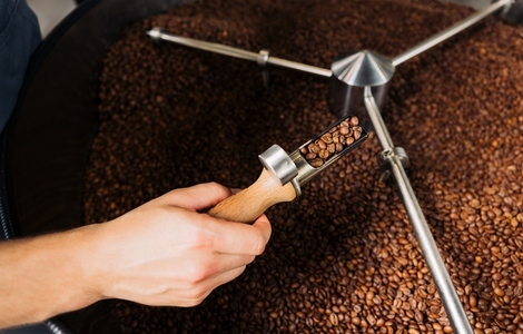 Shot from above of an unrecognizable barista holding a coffee checker with roasted coffee under a drum