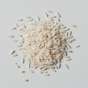Pile of uncooked white rice grains arranged neatly light surface showcasing their texture Pile of uncooked white rice grains arranged neatly light surface showcasing their texture