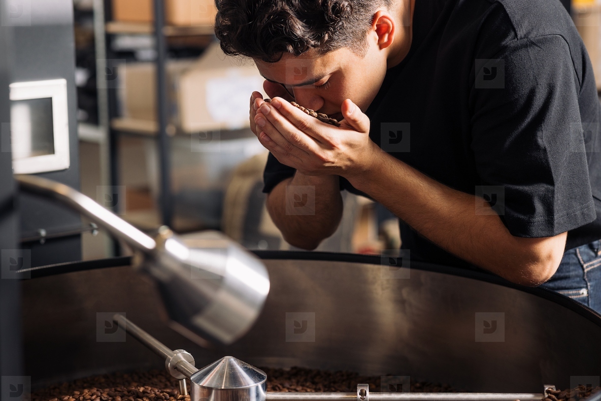 Barista holding in his hands fresh roasted coffee beans and smelling them to check the level of readiness