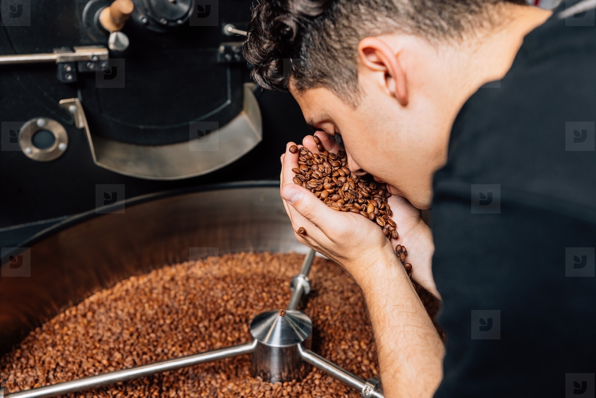 Close up of young barista smelling fresh roasted coffee beans at drum of the machine