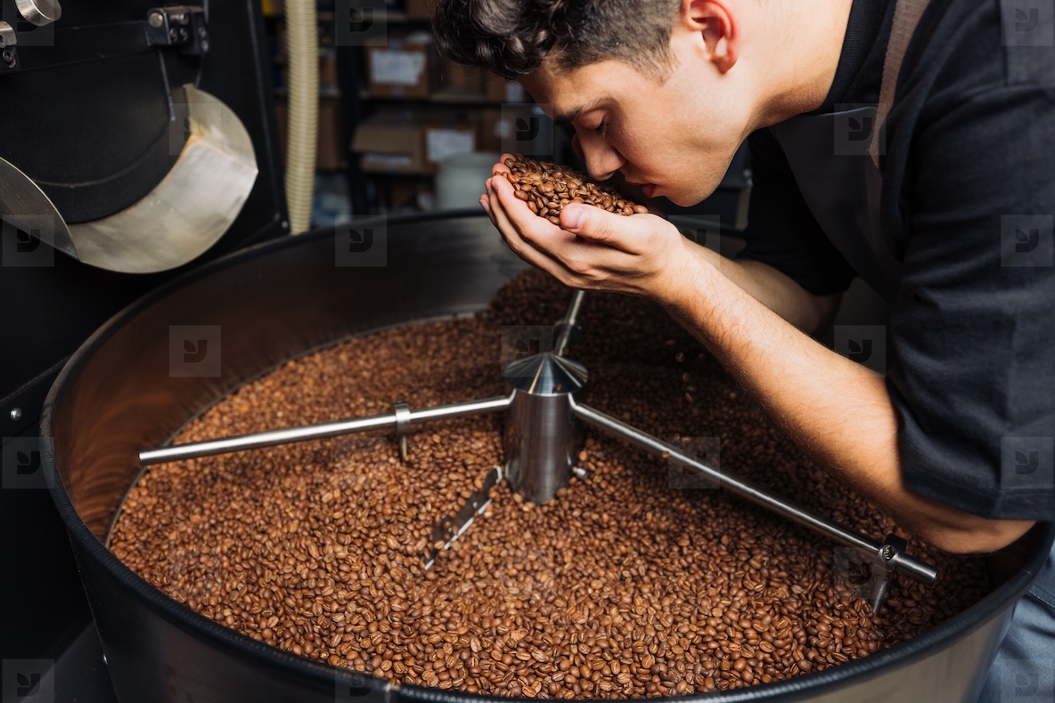 Young barista is smelling fresh roasted coffee beans  Side view of a coffee shop worker at a roasting machine smelling fresh prepared beans