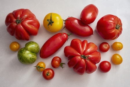 View from above variety of heirloom tomatoes on white background View from above variety of heirloom tomatoes on white background
