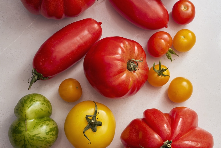 View from above variety of heirloom tomatoes